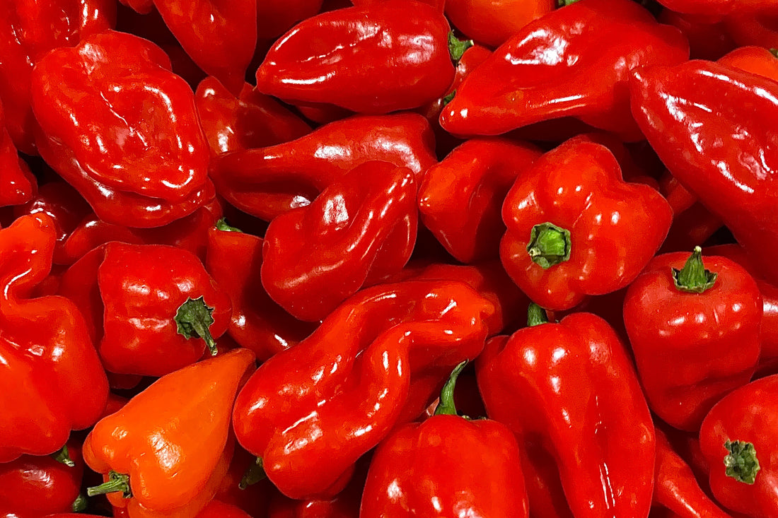 Los beneficios del picante