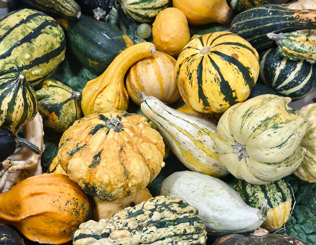 🍁 Recetas otoñales con Pica de Collons